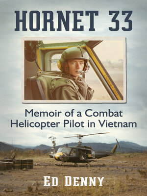 cover image of Hornet 33